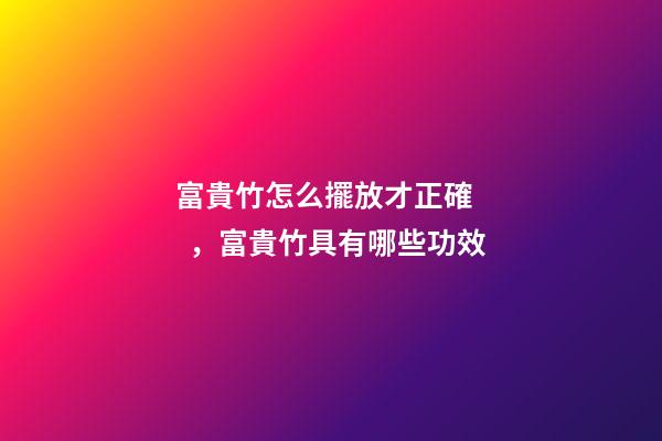 富貴竹怎么擺放才正確，富貴竹具有哪些功效
